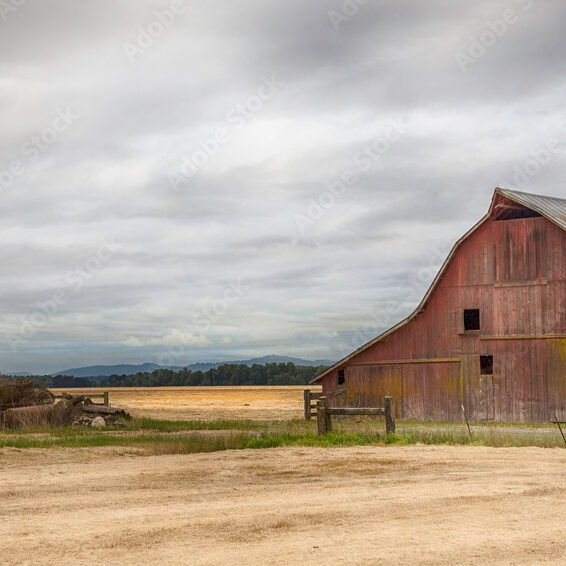 AdobeStock_238739924_Preview