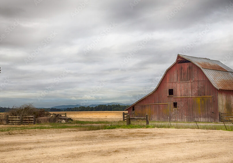 AdobeStock_238739924_Preview