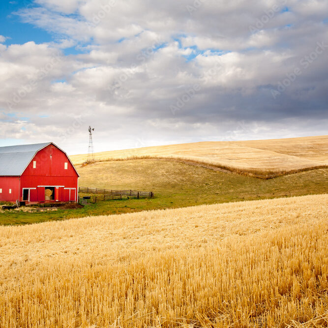 AdobeStock_366782249_Preview